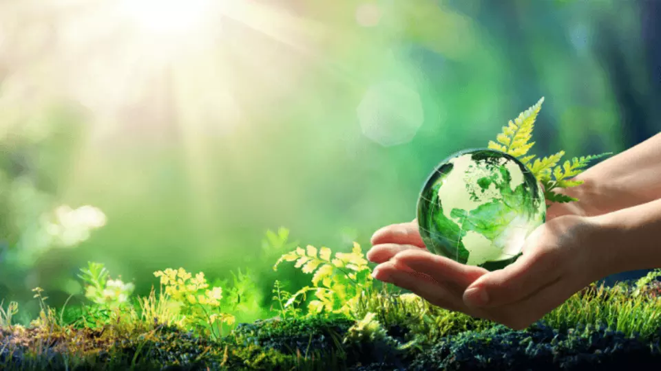 Online webináre Green Building Academy